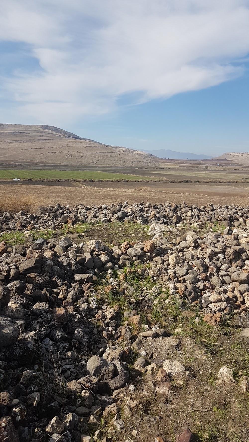 Domuztepe Höyüğü